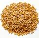 What Is The History & Uses Of Mustard